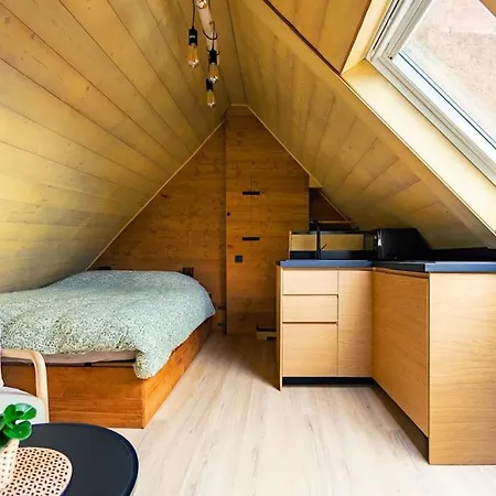 Le Petit Du Centre-ville Apartment