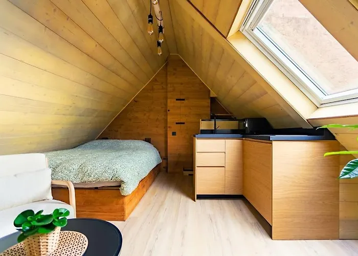 Le Petit Du Centre-ville Apartment